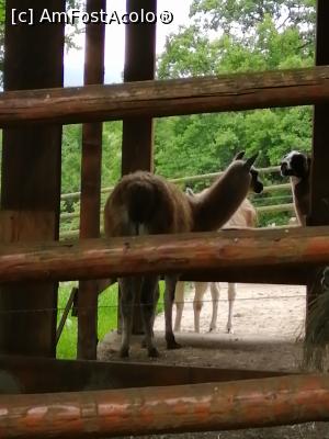 [P08] Tarcul cu lame » foto by nelu73
 - 
<span class="allrVoted glyphicon glyphicon-heart hidden" id="av1234087"></span>
<a class="m-l-10 hidden" id="sv1234087" onclick="voting_Foto_DelVot(,1234087,14876)" role="button">șterge vot <span class="glyphicon glyphicon-remove"></span></a>
<a id="v91234087" class=" c-red"  onclick="voting_Foto_SetVot(1234087)" role="button"><span class="glyphicon glyphicon-heart-empty"></span> <b>LIKE</b> = Votează poza</a> <img class="hidden"  id="f1234087W9" src="/imagini/loader.gif" border="0" /><span class="AjErrMes hidden" id="e1234087ErM"></span>