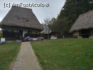 [P11] Casa cu acoperiș de stuf.  » foto by nelu73
 - 
<span class="allrVoted glyphicon glyphicon-heart hidden" id="av1078498"></span>
<a class="m-l-10 hidden" id="sv1078498" onclick="voting_Foto_DelVot(,1078498,14876)" role="button">șterge vot <span class="glyphicon glyphicon-remove"></span></a>
<a id="v91078498" class=" c-red"  onclick="voting_Foto_SetVot(1078498)" role="button"><span class="glyphicon glyphicon-heart-empty"></span> <b>LIKE</b> = Votează poza</a> <img class="hidden"  id="f1078498W9" src="/imagini/loader.gif" border="0" /><span class="AjErrMes hidden" id="e1078498ErM"></span>