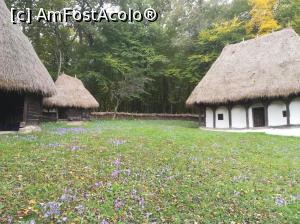 [P12] Curtea cu viorele!  » foto by nelu73
 - 
<span class="allrVoted glyphicon glyphicon-heart hidden" id="av1078499"></span>
<a class="m-l-10 hidden" id="sv1078499" onclick="voting_Foto_DelVot(,1078499,14876)" role="button">șterge vot <span class="glyphicon glyphicon-remove"></span></a>
<a id="v91078499" class=" c-red"  onclick="voting_Foto_SetVot(1078499)" role="button"><span class="glyphicon glyphicon-heart-empty"></span> <b>LIKE</b> = Votează poza</a> <img class="hidden"  id="f1078499W9" src="/imagini/loader.gif" border="0" /><span class="AjErrMes hidden" id="e1078499ErM"></span>