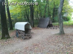 [P13] Caruta si, cort' ' .  » foto by nelu73
 - 
<span class="allrVoted glyphicon glyphicon-heart hidden" id="av1078500"></span>
<a class="m-l-10 hidden" id="sv1078500" onclick="voting_Foto_DelVot(,1078500,14876)" role="button">șterge vot <span class="glyphicon glyphicon-remove"></span></a>
<a id="v91078500" class=" c-red"  onclick="voting_Foto_SetVot(1078500)" role="button"><span class="glyphicon glyphicon-heart-empty"></span> <b>LIKE</b> = Votează poza</a> <img class="hidden"  id="f1078500W9" src="/imagini/loader.gif" border="0" /><span class="AjErrMes hidden" id="e1078500ErM"></span>