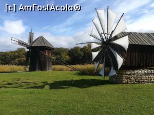 [P04] Mori angrenate de vânt.  » foto by nelu73
 - 
<span class="allrVoted glyphicon glyphicon-heart hidden" id="av1078491"></span>
<a class="m-l-10 hidden" id="sv1078491" onclick="voting_Foto_DelVot(,1078491,14876)" role="button">șterge vot <span class="glyphicon glyphicon-remove"></span></a>
<a id="v91078491" class=" c-red"  onclick="voting_Foto_SetVot(1078491)" role="button"><span class="glyphicon glyphicon-heart-empty"></span> <b>LIKE</b> = Votează poza</a> <img class="hidden"  id="f1078491W9" src="/imagini/loader.gif" border="0" /><span class="AjErrMes hidden" id="e1078491ErM"></span>