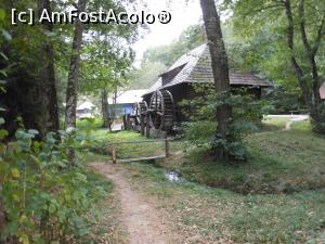 [P17] Sibiu - Muzeul Civilizației Populare Tradiționale ASTRA. Peisaj rural.  » foto by iulianic
 - 
<span class="allrVoted glyphicon glyphicon-heart hidden" id="av1115325"></span>
<a class="m-l-10 hidden" id="sv1115325" onclick="voting_Foto_DelVot(,1115325,14876)" role="button">șterge vot <span class="glyphicon glyphicon-remove"></span></a>
<a id="v91115325" class=" c-red"  onclick="voting_Foto_SetVot(1115325)" role="button"><span class="glyphicon glyphicon-heart-empty"></span> <b>LIKE</b> = Votează poza</a> <img class="hidden"  id="f1115325W9" src="/imagini/loader.gif" border="0" /><span class="AjErrMes hidden" id="e1115325ErM"></span>