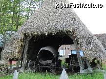 [P30]  -- <small>// FĂRĂ DESCRIERE</small> » foto by diana-s
 - 
<span class="allrVoted glyphicon glyphicon-heart hidden" id="av325384"></span>
<a class="m-l-10 hidden" id="sv325384" onclick="voting_Foto_DelVot(,325384,14876)" role="button">șterge vot <span class="glyphicon glyphicon-remove"></span></a>
<a id="v9325384" class=" c-red"  onclick="voting_Foto_SetVot(325384)" role="button"><span class="glyphicon glyphicon-heart-empty"></span> <b>LIKE</b> = Votează poza</a> <img class="hidden"  id="f325384W9" src="/imagini/loader.gif" border="0" /><span class="AjErrMes hidden" id="e325384ErM"></span>