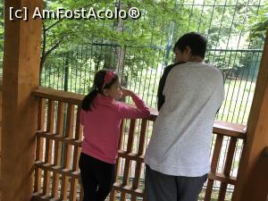 [P24] in punctul de observare » foto by Dan&Ema
 - 
<span class="allrVoted glyphicon glyphicon-heart hidden" id="av1086743"></span>
<a class="m-l-10 hidden" id="sv1086743" onclick="voting_Foto_DelVot(,1086743,14876)" role="button">șterge vot <span class="glyphicon glyphicon-remove"></span></a>
<a id="v91086743" class=" c-red"  onclick="voting_Foto_SetVot(1086743)" role="button"><span class="glyphicon glyphicon-heart-empty"></span> <b>LIKE</b> = Votează poza</a> <img class="hidden"  id="f1086743W9" src="/imagini/loader.gif" border="0" /><span class="AjErrMes hidden" id="e1086743ErM"></span>