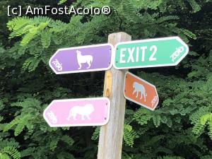 [P07] indicatoare sugestive » foto by Dan&Ema
 - 
<span class="allrVoted glyphicon glyphicon-heart hidden" id="av1086726"></span>
<a class="m-l-10 hidden" id="sv1086726" onclick="voting_Foto_DelVot(,1086726,14876)" role="button">șterge vot <span class="glyphicon glyphicon-remove"></span></a>
<a id="v91086726" class=" c-red"  onclick="voting_Foto_SetVot(1086726)" role="button"><span class="glyphicon glyphicon-heart-empty"></span> <b>LIKE</b> = Votează poza</a> <img class="hidden"  id="f1086726W9" src="/imagini/loader.gif" border="0" /><span class="AjErrMes hidden" id="e1086726ErM"></span>