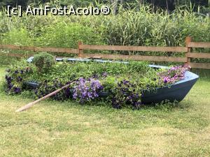 [P08] decor verde » foto by Dan&Ema
 - 
<span class="allrVoted glyphicon glyphicon-heart hidden" id="av1086727"></span>
<a class="m-l-10 hidden" id="sv1086727" onclick="voting_Foto_DelVot(,1086727,14876)" role="button">șterge vot <span class="glyphicon glyphicon-remove"></span></a>
<a id="v91086727" class=" c-red"  onclick="voting_Foto_SetVot(1086727)" role="button"><span class="glyphicon glyphicon-heart-empty"></span> <b>LIKE</b> = Votează poza</a> <img class="hidden"  id="f1086727W9" src="/imagini/loader.gif" border="0" /><span class="AjErrMes hidden" id="e1086727ErM"></span>