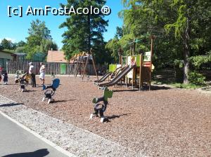 [P10] Grădina Zoologică Sibiu<p> parcul de joaca » foto by Dana2008
 - 
<span class="allrVoted glyphicon glyphicon-heart hidden" id="av1036416"></span>
<a class="m-l-10 hidden" id="sv1036416" onclick="voting_Foto_DelVot(,1036416,14876)" role="button">șterge vot <span class="glyphicon glyphicon-remove"></span></a>
<a id="v91036416" class=" c-red"  onclick="voting_Foto_SetVot(1036416)" role="button"><span class="glyphicon glyphicon-heart-empty"></span> <b>LIKE</b> = Votează poza</a> <img class="hidden"  id="f1036416W9" src="/imagini/loader.gif" border="0" /><span class="AjErrMes hidden" id="e1036416ErM"></span>