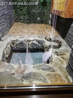 [P21] <strong>Zoo Sibiu</strong> » foto by ⭐ValentinB_88⭐
 - 
<span class="allrVoted glyphicon glyphicon-heart hidden" id="av1235413"></span>
<a class="m-l-10 hidden" id="sv1235413" onclick="voting_Foto_DelVot(,1235413,14876)" role="button">șterge vot <span class="glyphicon glyphicon-remove"></span></a>
<a id="v91235413" class=" c-red"  onclick="voting_Foto_SetVot(1235413)" role="button"><span class="glyphicon glyphicon-heart-empty"></span> <b>LIKE</b> = Votează poza</a> <img class="hidden"  id="f1235413W9" src="/imagini/loader.gif" border="0" /><span class="AjErrMes hidden" id="e1235413ErM"></span>