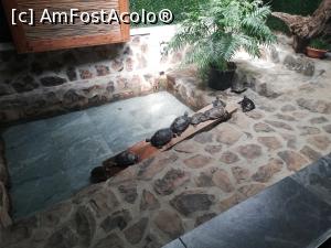 [P24] <strong>Zoo Sibiu</strong> » foto by ⭐ValentinB_88⭐
 - 
<span class="allrVoted glyphicon glyphicon-heart hidden" id="av1235416"></span>
<a class="m-l-10 hidden" id="sv1235416" onclick="voting_Foto_DelVot(,1235416,14876)" role="button">șterge vot <span class="glyphicon glyphicon-remove"></span></a>
<a id="v91235416" class=" c-red"  onclick="voting_Foto_SetVot(1235416)" role="button"><span class="glyphicon glyphicon-heart-empty"></span> <b>LIKE</b> = Votează poza</a> <img class="hidden"  id="f1235416W9" src="/imagini/loader.gif" border="0" /><span class="AjErrMes hidden" id="e1235416ErM"></span>