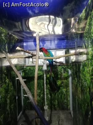 [P28] <strong>Zoo Sibiu</strong> » foto by ⭐ValentinB_88⭐
 - 
<span class="allrVoted glyphicon glyphicon-heart hidden" id="av1235420"></span>
<a class="m-l-10 hidden" id="sv1235420" onclick="voting_Foto_DelVot(,1235420,14876)" role="button">șterge vot <span class="glyphicon glyphicon-remove"></span></a>
<a id="v91235420" class=" c-red"  onclick="voting_Foto_SetVot(1235420)" role="button"><span class="glyphicon glyphicon-heart-empty"></span> <b>LIKE</b> = Votează poza</a> <img class="hidden"  id="f1235420W9" src="/imagini/loader.gif" border="0" /><span class="AjErrMes hidden" id="e1235420ErM"></span>