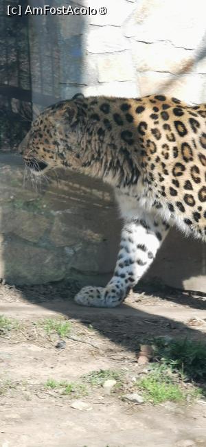 [P18] Salut, mâncare ceva? » foto by ⭐ValentinB_88⭐
 - 
<span class="allrVoted glyphicon glyphicon-heart hidden" id="av1420045"></span>
<a class="m-l-10 hidden" id="sv1420045" onclick="voting_Foto_DelVot(,1420045,14876)" role="button">șterge vot <span class="glyphicon glyphicon-remove"></span></a>
<a id="v91420045" class=" c-red"  onclick="voting_Foto_SetVot(1420045)" role="button"><span class="glyphicon glyphicon-heart-empty"></span> <b>LIKE</b> = Votează poza</a> <img class="hidden"  id="f1420045W9" src="/imagini/loader.gif" border="0" /><span class="AjErrMes hidden" id="e1420045ErM"></span>