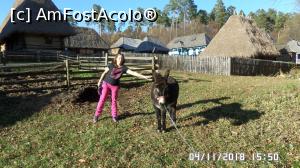 [P32] Muzeul Civilizației Populare Tradiționale „Astra”, Sibiu » foto by ungureanica
 - 
<span class="allrVoted glyphicon glyphicon-heart hidden" id="av1031286"></span>
<a class="m-l-10 hidden" id="sv1031286" onclick="voting_Foto_DelVot(,1031286,14876)" role="button">șterge vot <span class="glyphicon glyphicon-remove"></span></a>
<a id="v91031286" class=" c-red"  onclick="voting_Foto_SetVot(1031286)" role="button"><span class="glyphicon glyphicon-heart-empty"></span> <b>LIKE</b> = Votează poza</a> <img class="hidden"  id="f1031286W9" src="/imagini/loader.gif" border="0" /><span class="AjErrMes hidden" id="e1031286ErM"></span>