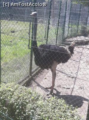 [P01] Strut » foto by Oana07
 - 
<span class="allrVoted glyphicon glyphicon-heart hidden" id="av998168"></span>
<a class="m-l-10 hidden" id="sv998168" onclick="voting_Foto_DelVot(,998168,14876)" role="button">șterge vot <span class="glyphicon glyphicon-remove"></span></a>
<a id="v9998168" class=" c-red"  onclick="voting_Foto_SetVot(998168)" role="button"><span class="glyphicon glyphicon-heart-empty"></span> <b>LIKE</b> = Votează poza</a> <img class="hidden"  id="f998168W9" src="/imagini/loader.gif" border="0" /><span class="AjErrMes hidden" id="e998168ErM"></span>