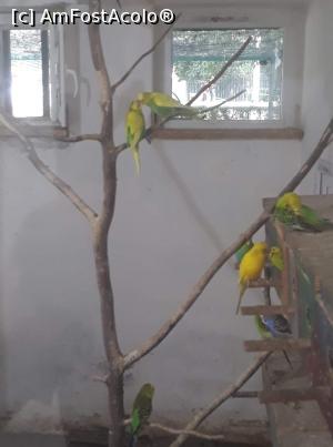 [P04]  -- <small>// FĂRĂ DESCRIERE</small> » foto by Oana07
 - 
<span class="allrVoted glyphicon glyphicon-heart hidden" id="av998172"></span>
<a class="m-l-10 hidden" id="sv998172" onclick="voting_Foto_DelVot(,998172,14876)" role="button">șterge vot <span class="glyphicon glyphicon-remove"></span></a>
<a id="v9998172" class=" c-red"  onclick="voting_Foto_SetVot(998172)" role="button"><span class="glyphicon glyphicon-heart-empty"></span> <b>LIKE</b> = Votează poza</a> <img class="hidden"  id="f998172W9" src="/imagini/loader.gif" border="0" /><span class="AjErrMes hidden" id="e998172ErM"></span>