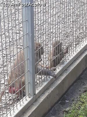 [P05]  -- <small>// FĂRĂ DESCRIERE</small> » foto by Oana07
 - 
<span class="allrVoted glyphicon glyphicon-heart hidden" id="av998174"></span>
<a class="m-l-10 hidden" id="sv998174" onclick="voting_Foto_DelVot(,998174,14876)" role="button">șterge vot <span class="glyphicon glyphicon-remove"></span></a>
<a id="v9998174" class=" c-red"  onclick="voting_Foto_SetVot(998174)" role="button"><span class="glyphicon glyphicon-heart-empty"></span> <b>LIKE</b> = Votează poza</a> <img class="hidden"  id="f998174W9" src="/imagini/loader.gif" border="0" /><span class="AjErrMes hidden" id="e998174ErM"></span>