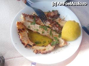 [P06] Restaurantul Manolo, caracatita la gratar inecata in ulei de masline si zeama de lamaie » foto by sunflower
 - 
<span class="allrVoted glyphicon glyphicon-heart hidden" id="av450593"></span>
<a class="m-l-10 hidden" id="sv450593" onclick="voting_Foto_DelVot(,450593,14929)" role="button">șterge vot <span class="glyphicon glyphicon-remove"></span></a>
<a id="v9450593" class=" c-red"  onclick="voting_Foto_SetVot(450593)" role="button"><span class="glyphicon glyphicon-heart-empty"></span> <b>LIKE</b> = Votează poza</a> <img class="hidden"  id="f450593W9" src="/imagini/loader.gif" border="0" /><span class="AjErrMes hidden" id="e450593ErM"></span>