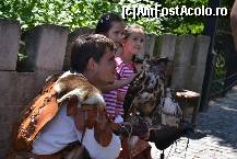 [P16] In parcul castelului-bufnite » foto by chrismo
 - 
<span class="allrVoted glyphicon glyphicon-heart hidden" id="av450756"></span>
<a class="m-l-10 hidden" id="sv450756" onclick="voting_Foto_DelVot(,450756,14933)" role="button">șterge vot <span class="glyphicon glyphicon-remove"></span></a>
<a id="v9450756" class=" c-red"  onclick="voting_Foto_SetVot(450756)" role="button"><span class="glyphicon glyphicon-heart-empty"></span> <b>LIKE</b> = Votează poza</a> <img class="hidden"  id="f450756W9" src="/imagini/loader.gif" border="0" /><span class="AjErrMes hidden" id="e450756ErM"></span>