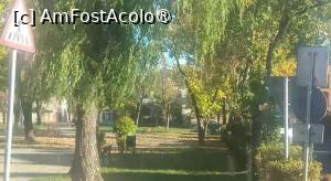 [P24] Pe lângă Colegiul Nicole Shtainhard, Satu Mare » foto by Mioritik
 - 
<span class="allrVoted glyphicon glyphicon-heart hidden" id="av1399270"></span>
<a class="m-l-10 hidden" id="sv1399270" onclick="voting_Foto_DelVot(,1399270,14964)" role="button">șterge vot <span class="glyphicon glyphicon-remove"></span></a>
<a id="v91399270" class=" c-red"  onclick="voting_Foto_SetVot(1399270)" role="button"><span class="glyphicon glyphicon-heart-empty"></span> <b>LIKE</b> = Votează poza</a> <img class="hidden"  id="f1399270W9" src="/imagini/loader.gif" border="0" /><span class="AjErrMes hidden" id="e1399270ErM"></span>