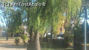 [P33] Pe lângă Colegiul Nicole Shtainhard, Satu Mare » foto by Mioritik
 - 
<span class="allrVoted glyphicon glyphicon-heart hidden" id="av1399279"></span>
<a class="m-l-10 hidden" id="sv1399279" onclick="voting_Foto_DelVot(,1399279,14964)" role="button">șterge vot <span class="glyphicon glyphicon-remove"></span></a>
<a id="v91399279" class=" c-red"  onclick="voting_Foto_SetVot(1399279)" role="button"><span class="glyphicon glyphicon-heart-empty"></span> <b>LIKE</b> = Votează poza</a> <img class="hidden"  id="f1399279W9" src="/imagini/loader.gif" border="0" /><span class="AjErrMes hidden" id="e1399279ErM"></span>