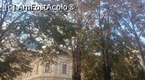 [P40] Biserica cu lanțuri, Satu Mare, prin vecini » foto by Mioritik
 - 
<span class="allrVoted glyphicon glyphicon-heart hidden" id="av1399286"></span>
<a class="m-l-10 hidden" id="sv1399286" onclick="voting_Foto_DelVot(,1399286,14964)" role="button">șterge vot <span class="glyphicon glyphicon-remove"></span></a>
<a id="v91399286" class=" c-red"  onclick="voting_Foto_SetVot(1399286)" role="button"><span class="glyphicon glyphicon-heart-empty"></span> <b>LIKE</b> = Votează poza</a> <img class="hidden"  id="f1399286W9" src="/imagini/loader.gif" border="0" /><span class="AjErrMes hidden" id="e1399286ErM"></span>