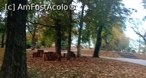 [P03] Grădină Romei, Satu Mare » foto by Mioritik
 - 
<span class="allrVoted glyphicon glyphicon-heart hidden" id="av1400639"></span>
<a class="m-l-10 hidden" id="sv1400639" onclick="voting_Foto_DelVot(,1400639,14964)" role="button">șterge vot <span class="glyphicon glyphicon-remove"></span></a>
<a id="v91400639" class=" c-red"  onclick="voting_Foto_SetVot(1400639)" role="button"><span class="glyphicon glyphicon-heart-empty"></span> <b>LIKE</b> = Votează poza</a> <img class="hidden"  id="f1400639W9" src="/imagini/loader.gif" border="0" /><span class="AjErrMes hidden" id="e1400639ErM"></span>
