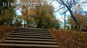 [P04] Grădină Romei, Satu Mare » foto by Mioritik
 - 
<span class="allrVoted glyphicon glyphicon-heart hidden" id="av1400640"></span>
<a class="m-l-10 hidden" id="sv1400640" onclick="voting_Foto_DelVot(,1400640,14964)" role="button">șterge vot <span class="glyphicon glyphicon-remove"></span></a>
<a id="v91400640" class=" c-red"  onclick="voting_Foto_SetVot(1400640)" role="button"><span class="glyphicon glyphicon-heart-empty"></span> <b>LIKE</b> = Votează poza</a> <img class="hidden"  id="f1400640W9" src="/imagini/loader.gif" border="0" /><span class="AjErrMes hidden" id="e1400640ErM"></span>