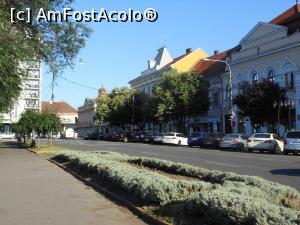 [P19] Satu Mare - În orașul vechi. » foto by iulianic
 - 
<span class="allrVoted glyphicon glyphicon-heart hidden" id="av1324654"></span>
<a class="m-l-10 hidden" id="sv1324654" onclick="voting_Foto_DelVot(,1324654,14964)" role="button">șterge vot <span class="glyphicon glyphicon-remove"></span></a>
<a id="v91324654" class=" c-red"  onclick="voting_Foto_SetVot(1324654)" role="button"><span class="glyphicon glyphicon-heart-empty"></span> <b>LIKE</b> = Votează poza</a> <img class="hidden"  id="f1324654W9" src="/imagini/loader.gif" border="0" /><span class="AjErrMes hidden" id="e1324654ErM"></span>