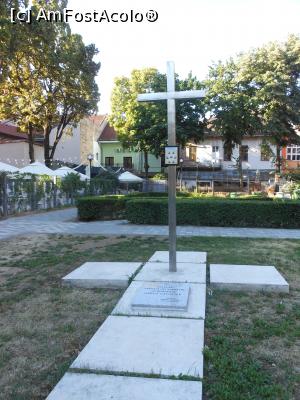 [P24] Satu Mare - În memoria “Sfinților martiri ai bisericii greco-catolice”. » foto by iulianic
 - 
<span class="allrVoted glyphicon glyphicon-heart hidden" id="av1324659"></span>
<a class="m-l-10 hidden" id="sv1324659" onclick="voting_Foto_DelVot(,1324659,14964)" role="button">șterge vot <span class="glyphicon glyphicon-remove"></span></a>
<a id="v91324659" class=" c-red"  onclick="voting_Foto_SetVot(1324659)" role="button"><span class="glyphicon glyphicon-heart-empty"></span> <b>LIKE</b> = Votează poza</a> <img class="hidden"  id="f1324659W9" src="/imagini/loader.gif" border="0" /><span class="AjErrMes hidden" id="e1324659ErM"></span>
