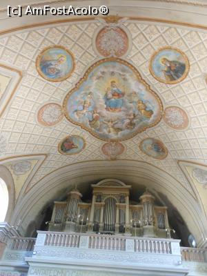 [P40] Satu Mare - Catedrala Romano - Catolică. Interior. » foto by iulianic
 - 
<span class="allrVoted glyphicon glyphicon-heart hidden" id="av1324675"></span>
<a class="m-l-10 hidden" id="sv1324675" onclick="voting_Foto_DelVot(,1324675,14964)" role="button">șterge vot <span class="glyphicon glyphicon-remove"></span></a>
<a id="v91324675" class=" c-red"  onclick="voting_Foto_SetVot(1324675)" role="button"><span class="glyphicon glyphicon-heart-empty"></span> <b>LIKE</b> = Votează poza</a> <img class="hidden"  id="f1324675W9" src="/imagini/loader.gif" border="0" /><span class="AjErrMes hidden" id="e1324675ErM"></span>