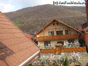 [P09] Vedere la iesire pe balcon, spre stanga. ornamentele de pe garduri sunt specifice zonei cu ocazia Pastilor. Fiecare ornament este adus inainte de Paste de un viitor 'stropitor' cu parfum, care va fi servit cu dulciuri, bautura, mancare bani si oua rosii.  » foto by PPP974273
 - 
<span class="allrVoted glyphicon glyphicon-heart hidden" id="av613260"></span>
<a class="m-l-10 hidden" id="sv613260" onclick="voting_Foto_DelVot(,613260,14992)" role="button">șterge vot <span class="glyphicon glyphicon-remove"></span></a>
<a id="v9613260" class=" c-red"  onclick="voting_Foto_SetVot(613260)" role="button"><span class="glyphicon glyphicon-heart-empty"></span> <b>LIKE</b> = Votează poza</a> <img class="hidden"  id="f613260W9" src="/imagini/loader.gif" border="0" /><span class="AjErrMes hidden" id="e613260ErM"></span>