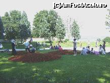 [P18] Istanbul - la plimbare prin Parcul Gulhane » foto by biancuta
 - 
<span class="allrVoted glyphicon glyphicon-heart hidden" id="av169829"></span>
<a class="m-l-10 hidden" id="sv169829" onclick="voting_Foto_DelVot(,169829,14995)" role="button">șterge vot <span class="glyphicon glyphicon-remove"></span></a>
<a id="v9169829" class=" c-red"  onclick="voting_Foto_SetVot(169829)" role="button"><span class="glyphicon glyphicon-heart-empty"></span> <b>LIKE</b> = Votează poza</a> <img class="hidden"  id="f169829W9" src="/imagini/loader.gif" border="0" /><span class="AjErrMes hidden" id="e169829ErM"></span>