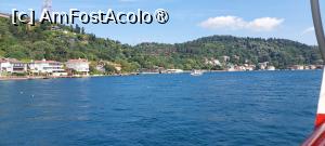 [P29] Conace Yali » foto by Carmen Ion
 - 
<span class="allrVoted glyphicon glyphicon-heart hidden" id="av1509360"></span>
<a class="m-l-10 hidden" id="sv1509360" onclick="voting_Foto_DelVot(,1509360,14995)" role="button">șterge vot <span class="glyphicon glyphicon-remove"></span></a>
<a id="v91509360" class=" c-red"  onclick="voting_Foto_SetVot(1509360)" role="button"><span class="glyphicon glyphicon-heart-empty"></span> <b>LIKE</b> = Votează poza</a> <img class="hidden"  id="f1509360W9" src="/imagini/loader.gif" border="0" /><span class="AjErrMes hidden" id="e1509360ErM"></span>