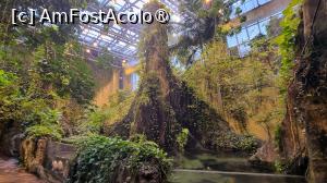 [P18] Pădurea tropicală de la Akvaryum Florya  » foto by pepsi70ro
 - 
<span class="allrVoted glyphicon glyphicon-heart hidden" id="av1517765"></span>
<a class="m-l-10 hidden" id="sv1517765" onclick="voting_Foto_DelVot(,1517765,14995)" role="button">șterge vot <span class="glyphicon glyphicon-remove"></span></a>
<a id="v91517765" class=" c-red"  onclick="voting_Foto_SetVot(1517765)" role="button"><span class="glyphicon glyphicon-heart-empty"></span> <b>LIKE</b> = Votează poza</a> <img class="hidden"  id="f1517765W9" src="/imagini/loader.gif" border="0" /><span class="AjErrMes hidden" id="e1517765ErM"></span>