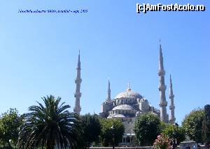 [P01] Moscheea Albastra vazuta din parcul dintre ea si Aya Sophia » foto by Puiu2010
 - 
<span class="allrVoted glyphicon glyphicon-heart hidden" id="av676184"></span>
<a class="m-l-10 hidden" id="sv676184" onclick="voting_Foto_DelVot(,676184,14995)" role="button">șterge vot <span class="glyphicon glyphicon-remove"></span></a>
<a id="v9676184" class=" c-red"  onclick="voting_Foto_SetVot(676184)" role="button"><span class="glyphicon glyphicon-heart-empty"></span> <b>LIKE</b> = Votează poza</a> <img class="hidden"  id="f676184W9" src="/imagini/loader.gif" border="0" /><span class="AjErrMes hidden" id="e676184ErM"></span>