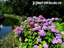 [P14] Flori peste tot. Foarte bine intretinut parcul si padurea care-l continea » foto by MCM
 - 
<span class="allrVoted glyphicon glyphicon-heart hidden" id="av453921"></span>
<a class="m-l-10 hidden" id="sv453921" onclick="voting_Foto_DelVot(,453921,15013)" role="button">șterge vot <span class="glyphicon glyphicon-remove"></span></a>
<a id="v9453921" class=" c-red"  onclick="voting_Foto_SetVot(453921)" role="button"><span class="glyphicon glyphicon-heart-empty"></span> <b>LIKE</b> = Votează poza</a> <img class="hidden"  id="f453921W9" src="/imagini/loader.gif" border="0" /><span class="AjErrMes hidden" id="e453921ErM"></span>