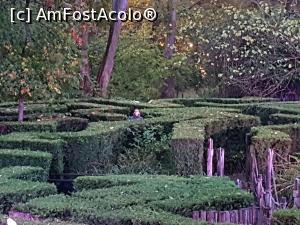 [P29] Efteling parc » foto by andreea_c
 - 
<span class="allrVoted glyphicon glyphicon-heart hidden" id="av942994"></span>
<a class="m-l-10 hidden" id="sv942994" onclick="voting_Foto_DelVot(,942994,15013)" role="button">șterge vot <span class="glyphicon glyphicon-remove"></span></a>
<a id="v9942994" class=" c-red"  onclick="voting_Foto_SetVot(942994)" role="button"><span class="glyphicon glyphicon-heart-empty"></span> <b>LIKE</b> = Votează poza</a> <img class="hidden"  id="f942994W9" src="/imagini/loader.gif" border="0" /><span class="AjErrMes hidden" id="e942994ErM"></span>
