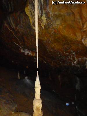 [P04] Punkva - sarutul - stiati ca o stalagmita creste cu 1-2 mm in 50 de ani?  » foto by sunnyday07
 - 
<span class="allrVoted glyphicon glyphicon-heart hidden" id="av634344"></span>
<a class="m-l-10 hidden" id="sv634344" onclick="voting_Foto_DelVot(,634344,15015)" role="button">șterge vot <span class="glyphicon glyphicon-remove"></span></a>
<a id="v9634344" class=" c-red"  onclick="voting_Foto_SetVot(634344)" role="button"><span class="glyphicon glyphicon-heart-empty"></span> <b>LIKE</b> = Votează poza</a> <img class="hidden"  id="f634344W9" src="/imagini/loader.gif" border="0" /><span class="AjErrMes hidden" id="e634344ErM"></span>