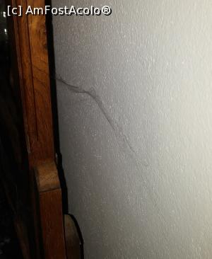[P02] Spiderman was here ! » foto by ManOwaR
 - 
<span class="allrVoted glyphicon glyphicon-heart hidden" id="av943282"></span>
<a class="m-l-10 hidden" id="sv943282" onclick="voting_Foto_DelVot(,943282,15018)" role="button">șterge vot <span class="glyphicon glyphicon-remove"></span></a>
<a id="v9943282" class=" c-red"  onclick="voting_Foto_SetVot(943282)" role="button"><span class="glyphicon glyphicon-heart-empty"></span> <b>LIKE</b> = Votează poza</a> <img class="hidden"  id="f943282W9" src="/imagini/loader.gif" border="0" /><span class="AjErrMes hidden" id="e943282ErM"></span>
