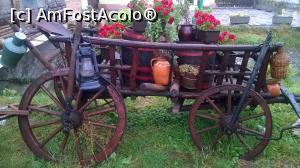 [P03] Decor langa casa Transilvania » foto by AZE
 - 
<span class="allrVoted glyphicon glyphicon-heart hidden" id="av773359"></span>
<a class="m-l-10 hidden" id="sv773359" onclick="voting_Foto_DelVot(,773359,15057)" role="button">șterge vot <span class="glyphicon glyphicon-remove"></span></a>
<a id="v9773359" class=" c-red"  onclick="voting_Foto_SetVot(773359)" role="button"><span class="glyphicon glyphicon-heart-empty"></span> <b>LIKE</b> = Votează poza</a> <img class="hidden"  id="f773359W9" src="/imagini/loader.gif" border="0" /><span class="AjErrMes hidden" id="e773359ErM"></span>