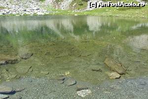 [P06] Lacul Iezer... cristalin si rece ca gheata (pana in 10 grade cred)  » foto by cristian pinte
 - 
<span class="allrVoted glyphicon glyphicon-heart hidden" id="av525537"></span>
<a class="m-l-10 hidden" id="sv525537" onclick="voting_Foto_DelVot(,525537,15065)" role="button">șterge vot <span class="glyphicon glyphicon-remove"></span></a>
<a id="v9525537" class=" c-red"  onclick="voting_Foto_SetVot(525537)" role="button"><span class="glyphicon glyphicon-heart-empty"></span> <b>LIKE</b> = Votează poza</a> <img class="hidden"  id="f525537W9" src="/imagini/loader.gif" border="0" /><span class="AjErrMes hidden" id="e525537ErM"></span>