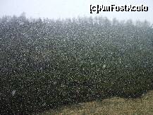 [P16] Chiar ninge! pai nu ziceam noi cand am plecat ca e primavara, cand ne batea soarele ca e vara, pe creasta ca e toamna, sa lipseacsa iarna? » foto by Lumis66
 - 
<span class="allrVoted glyphicon glyphicon-heart hidden" id="av276634"></span>
<a class="m-l-10 hidden" id="sv276634" onclick="voting_Foto_DelVot(,276634,15071)" role="button">șterge vot <span class="glyphicon glyphicon-remove"></span></a>
<a id="v9276634" class=" c-red"  onclick="voting_Foto_SetVot(276634)" role="button"><span class="glyphicon glyphicon-heart-empty"></span> <b>LIKE</b> = Votează poza</a> <img class="hidden"  id="f276634W9" src="/imagini/loader.gif" border="0" /><span class="AjErrMes hidden" id="e276634ErM"></span>