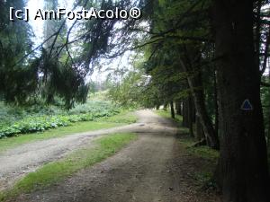 [P23] Profităm de umbra copacilor pentru că nu vrem să ne mai bronzăm prea mult.  » foto by Floryn81
 - 
<span class="allrVoted glyphicon glyphicon-heart hidden" id="av787730"></span>
<a class="m-l-10 hidden" id="sv787730" onclick="voting_Foto_DelVot(,787730,15071)" role="button">șterge vot <span class="glyphicon glyphicon-remove"></span></a>
<a id="v9787730" class=" c-red"  onclick="voting_Foto_SetVot(787730)" role="button"><span class="glyphicon glyphicon-heart-empty"></span> <b>LIKE</b> = Votează poza</a> <img class="hidden"  id="f787730W9" src="/imagini/loader.gif" border="0" /><span class="AjErrMes hidden" id="e787730ErM"></span>