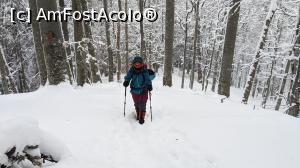 [P30] Prin pădure » foto by Mika
 - 
<span class="allrVoted glyphicon glyphicon-heart hidden" id="av1214915"></span>
<a class="m-l-10 hidden" id="sv1214915" onclick="voting_Foto_DelVot(,1214915,15071)" role="button">șterge vot <span class="glyphicon glyphicon-remove"></span></a>
<a id="v91214915" class=" c-red"  onclick="voting_Foto_SetVot(1214915)" role="button"><span class="glyphicon glyphicon-heart-empty"></span> <b>LIKE</b> = Votează poza</a> <img class="hidden"  id="f1214915W9" src="/imagini/loader.gif" border="0" /><span class="AjErrMes hidden" id="e1214915ErM"></span>
