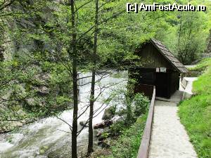 [P01] Moara de apa in Cheile Rudariei » foto by Testosu'
 - 
<span class="allrVoted glyphicon glyphicon-heart hidden" id="av510756"></span>
<a class="m-l-10 hidden" id="sv510756" onclick="voting_Foto_DelVot(,510756,15101)" role="button">șterge vot <span class="glyphicon glyphicon-remove"></span></a>
<a id="v9510756" class=" c-red"  onclick="voting_Foto_SetVot(510756)" role="button"><span class="glyphicon glyphicon-heart-empty"></span> <b>LIKE</b> = Votează poza</a> <img class="hidden"  id="f510756W9" src="/imagini/loader.gif" border="0" /><span class="AjErrMes hidden" id="e510756ErM"></span>