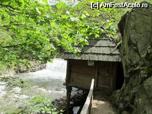 [P02] Moara de apa » foto by Testosu'
 - 
<span class="allrVoted glyphicon glyphicon-heart hidden" id="av510757"></span>
<a class="m-l-10 hidden" id="sv510757" onclick="voting_Foto_DelVot(,510757,15101)" role="button">șterge vot <span class="glyphicon glyphicon-remove"></span></a>
<a id="v9510757" class=" c-red"  onclick="voting_Foto_SetVot(510757)" role="button"><span class="glyphicon glyphicon-heart-empty"></span> <b>LIKE</b> = Votează poza</a> <img class="hidden"  id="f510757W9" src="/imagini/loader.gif" border="0" /><span class="AjErrMes hidden" id="e510757ErM"></span>