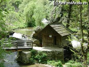 [P03] Moara indaratnica dintre rauri- Cheile Rudariei » foto by Testosu'
 - 
<span class="allrVoted glyphicon glyphicon-heart hidden" id="av510758"></span>
<a class="m-l-10 hidden" id="sv510758" onclick="voting_Foto_DelVot(,510758,15101)" role="button">șterge vot <span class="glyphicon glyphicon-remove"></span></a>
<a id="v9510758" class=" c-red"  onclick="voting_Foto_SetVot(510758)" role="button"><span class="glyphicon glyphicon-heart-empty"></span> <b>LIKE</b> = Votează poza</a> <img class="hidden"  id="f510758W9" src="/imagini/loader.gif" border="0" /><span class="AjErrMes hidden" id="e510758ErM"></span>