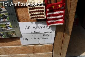 [P15] Eftimie Murgu, Morile de apă de la Rudăria, Moara Îndărătnică dintre râuri » foto by mprofeanu
 - 
<span class="allrVoted glyphicon glyphicon-heart hidden" id="av1181354"></span>
<a class="m-l-10 hidden" id="sv1181354" onclick="voting_Foto_DelVot(,1181354,15101)" role="button">șterge vot <span class="glyphicon glyphicon-remove"></span></a>
<a id="v91181354" class=" c-red"  onclick="voting_Foto_SetVot(1181354)" role="button"><span class="glyphicon glyphicon-heart-empty"></span> <b>LIKE</b> = Votează poza</a> <img class="hidden"  id="f1181354W9" src="/imagini/loader.gif" border="0" /><span class="AjErrMes hidden" id="e1181354ErM"></span>