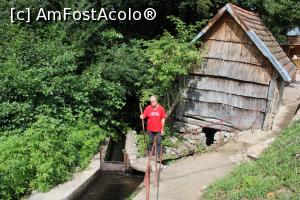 [P04] Eftimie Murgu, Morile de apă de la Rudăria, Moara Firiz, spatele ei, se vede jgeabul, stăvilarul și sub moară este roata cu palete și furca » foto by mprofeanu
 - 
<span class="allrVoted glyphicon glyphicon-heart hidden" id="av1181343"></span>
<a class="m-l-10 hidden" id="sv1181343" onclick="voting_Foto_DelVot(,1181343,15101)" role="button">șterge vot <span class="glyphicon glyphicon-remove"></span></a>
<a id="v91181343" class=" c-red"  onclick="voting_Foto_SetVot(1181343)" role="button"><span class="glyphicon glyphicon-heart-empty"></span> <b>LIKE</b> = Votează poza</a> <img class="hidden"  id="f1181343W9" src="/imagini/loader.gif" border="0" /><span class="AjErrMes hidden" id="e1181343ErM"></span>