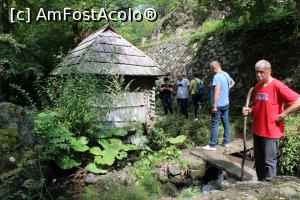 [P09] Eftimie Murgu, Morile de apă de la Rudăria, Moara Bâțolea, spatele ei » foto by mprofeanu
 - 
<span class="allrVoted glyphicon glyphicon-heart hidden" id="av1181348"></span>
<a class="m-l-10 hidden" id="sv1181348" onclick="voting_Foto_DelVot(,1181348,15101)" role="button">șterge vot <span class="glyphicon glyphicon-remove"></span></a>
<a id="v91181348" class=" c-red"  onclick="voting_Foto_SetVot(1181348)" role="button"><span class="glyphicon glyphicon-heart-empty"></span> <b>LIKE</b> = Votează poza</a> <img class="hidden"  id="f1181348W9" src="/imagini/loader.gif" border="0" /><span class="AjErrMes hidden" id="e1181348ErM"></span>