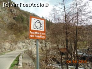 [P01] indicatorul care ne-a anuntat ca am ajuns unde trebuie » foto by Denisa13
 - 
<span class="allrVoted glyphicon glyphicon-heart hidden" id="av957510"></span>
<a class="m-l-10 hidden" id="sv957510" onclick="voting_Foto_DelVot(,957510,15101)" role="button">șterge vot <span class="glyphicon glyphicon-remove"></span></a>
<a id="v9957510" class=" c-red"  onclick="voting_Foto_SetVot(957510)" role="button"><span class="glyphicon glyphicon-heart-empty"></span> <b>LIKE</b> = Votează poza</a> <img class="hidden"  id="f957510W9" src="/imagini/loader.gif" border="0" /><span class="AjErrMes hidden" id="e957510ErM"></span>